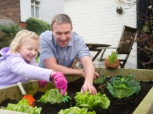 growing vegetables