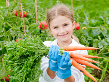 grow your own money saving tips