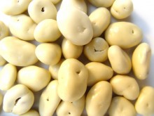 Yoghurt coated raisins, a tasty snack