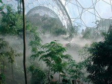 eden project ticket offers