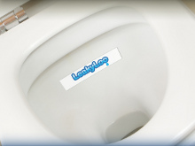 leaky-loo