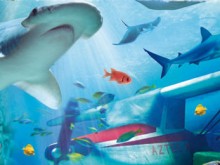 sealife-deals and discounts