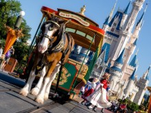 Cheap Disney World Orlando tickets Magic Kingdom