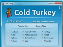keep your kids safe online cold turkey
