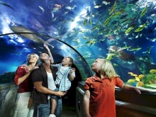sealife centre days out half term discount