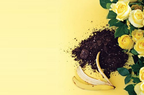 money saving gardening tips bananas