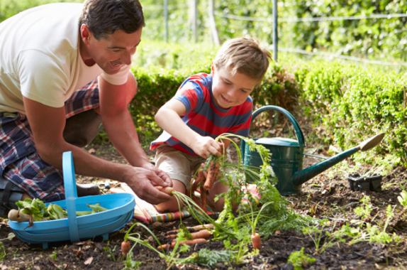 money saving gardening tips fertiliser