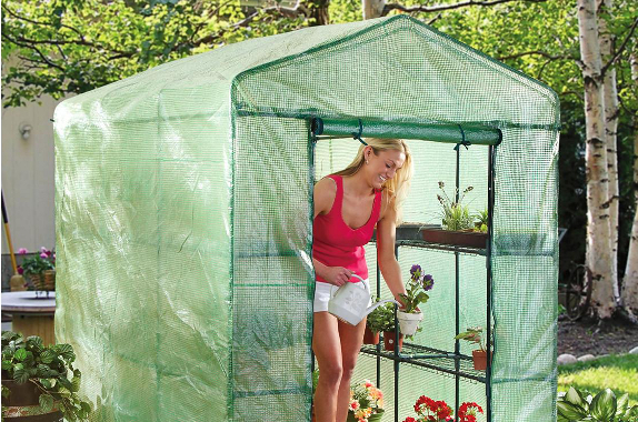 money saving gardening tips greenhouses
