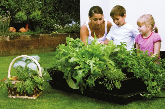 money saving gardening tips salad