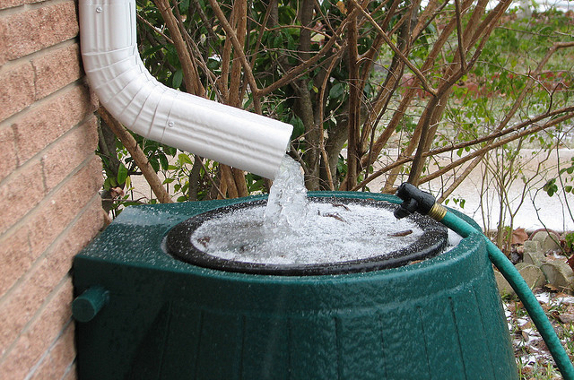 money saving gardening tips water barrel