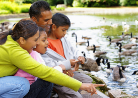 free things to do with the kids