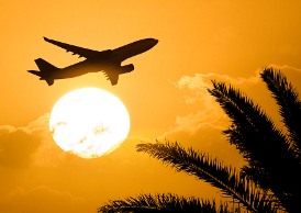bargain family flights