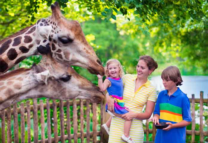 Cheap Zoo Tickets LeadFeat