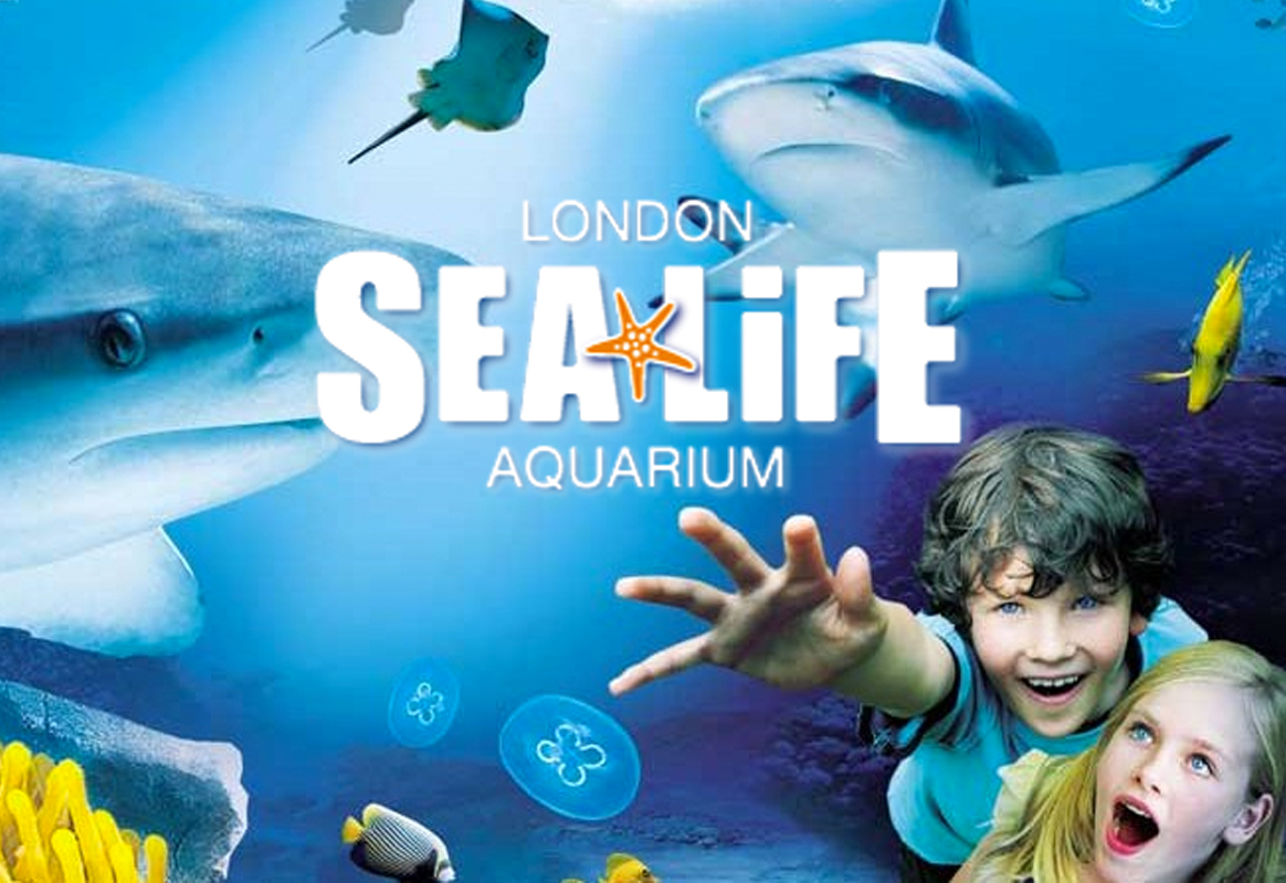 SeaLifeCentre1