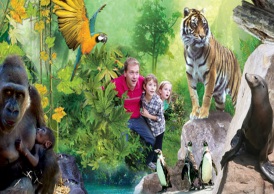 african adventures half term offer