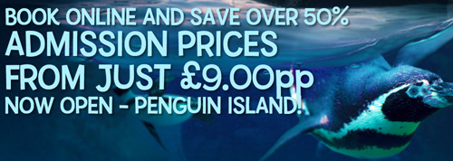 SeaLifeCentre9