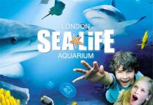 Sea Life Centre_LeadFeat