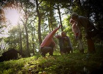Forest Holidays