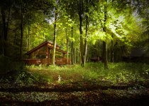 Log cabin in the forest