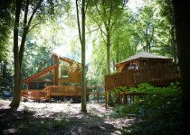 Forest Holidays