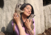 Meet the Meercats - Buyagift